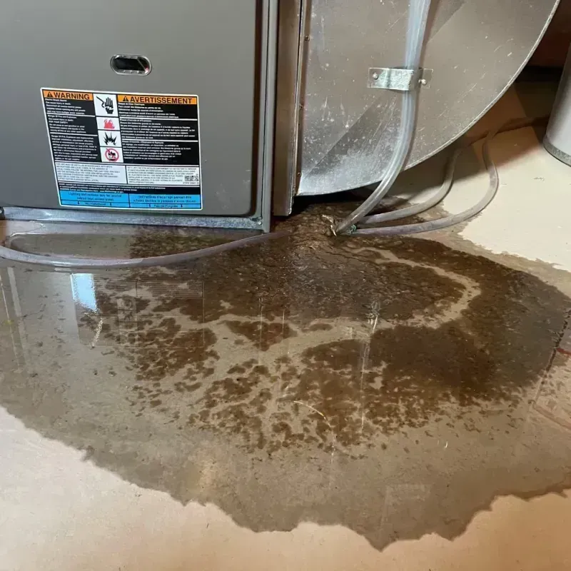 Appliance Leak Cleanup in Armstrong County, PA